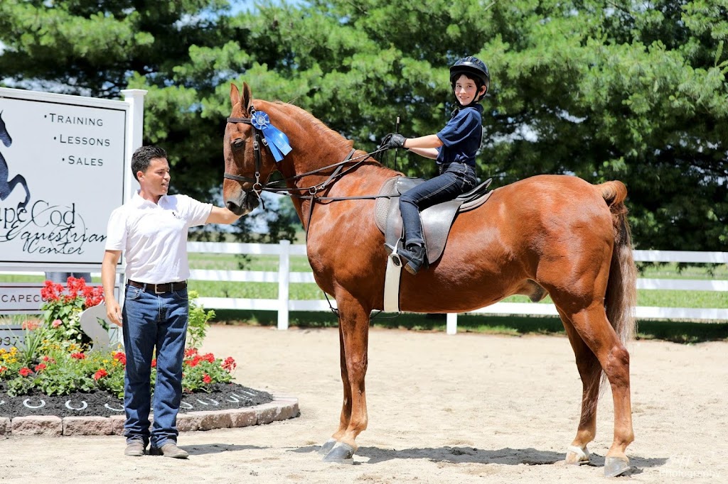 Cape Cod Equestrian Center | 3187 E Centerville Rd, Spring Valley, OH 45370, USA | Phone: (937) 848-8566