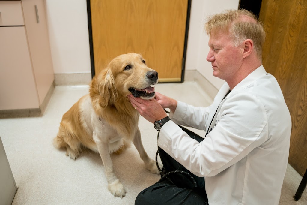 Beacon Veterinary Specialists | 1618 Washington Blvd, Fremont, CA 94539, USA | Phone: (510) 657-6343