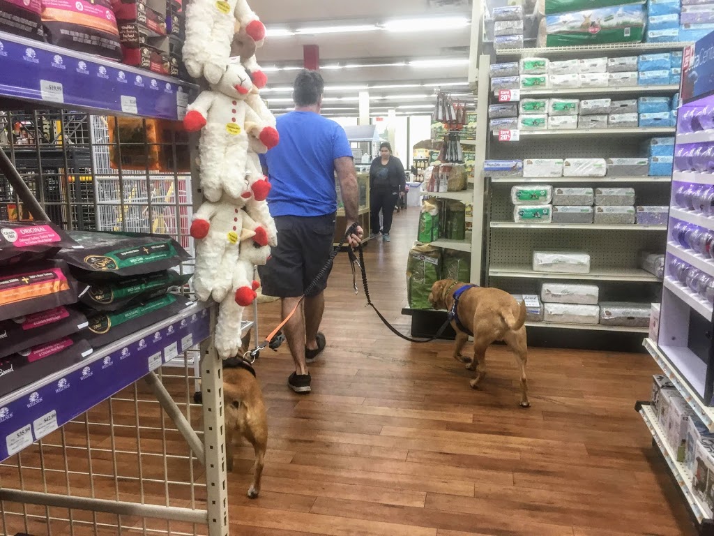 Pet Supermarket | 2111 N Federal Hwy, Hollywood, FL 33020, USA | Phone: (954) 925-1240