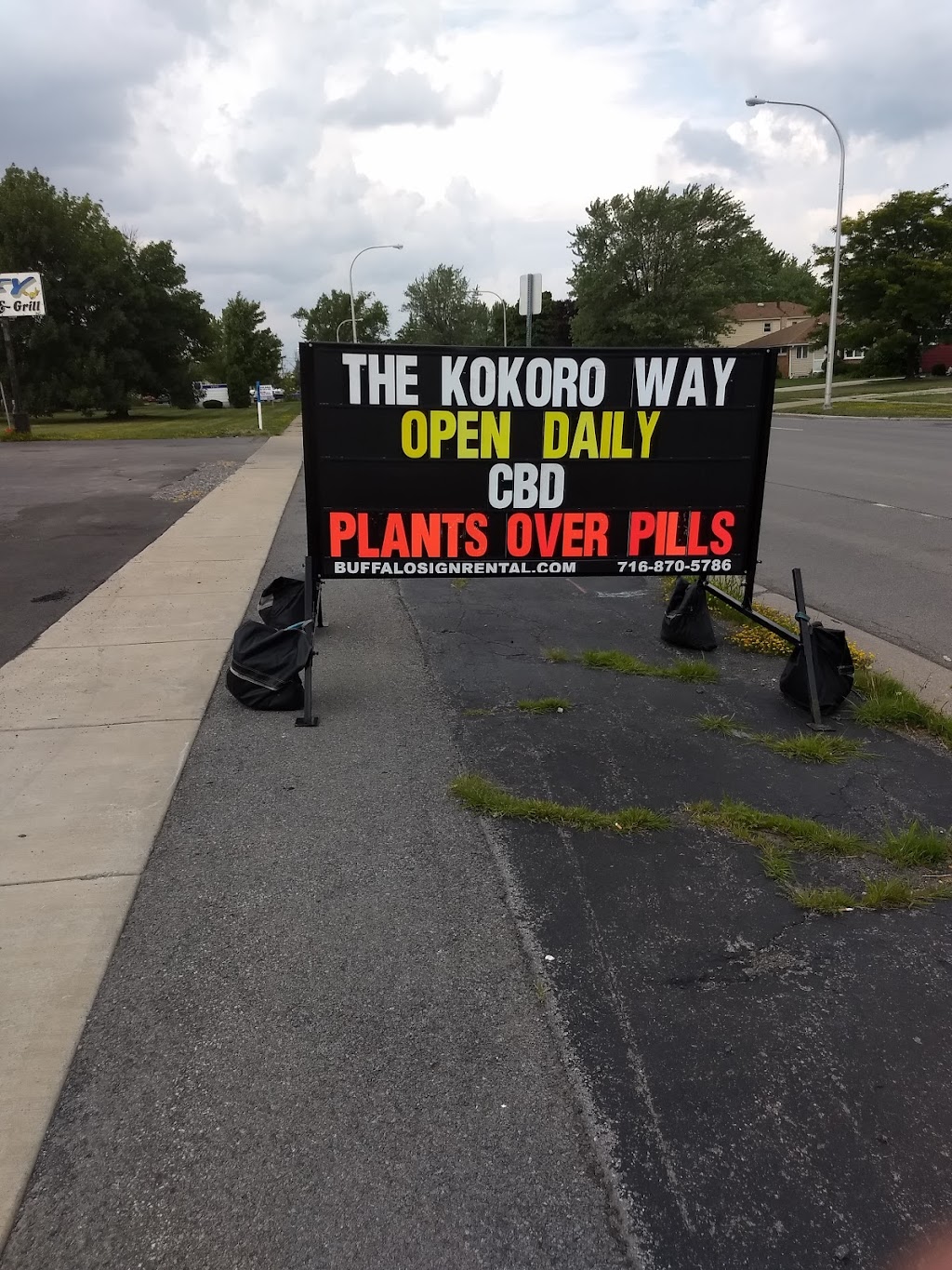 The Kokoro Way | 1856 Colvin Blvd, Tonawanda, NY 14150, USA | Phone: (716) 930-4073