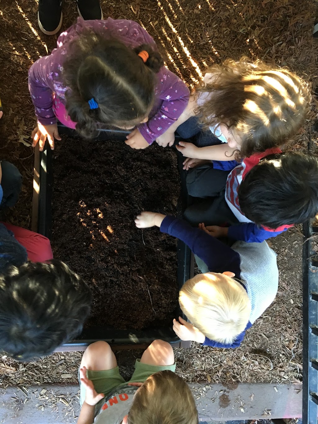 Play-ology Preschool & Playschool | 3084 Sunrise Blvd #4, Rancho Cordova, CA 95742, USA | Phone: (916) 853-5678