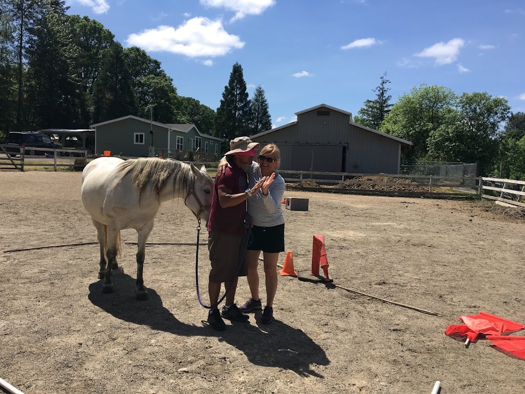 Red Horse Farm - Horse Therapy | 30608 NE McBride Rd, Battle Ground, WA 98604, USA | Phone: (360) 798-2669