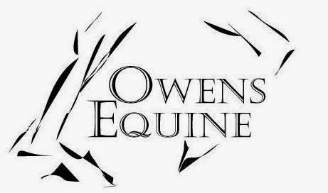 Owens Equine | 9506 240th Ave SE, Issaquah, WA 98027, USA | Phone: (206) 661-6005