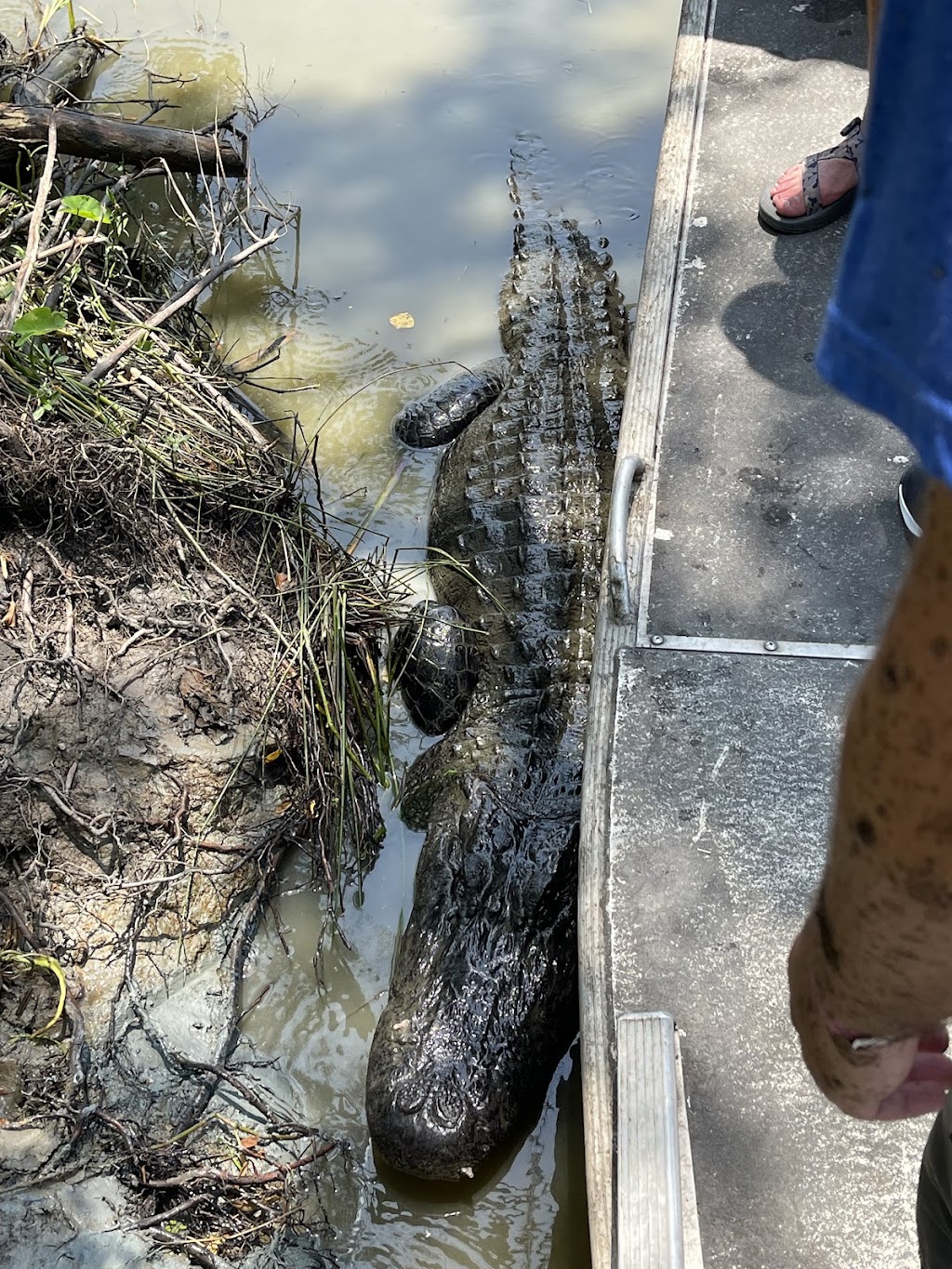 Ragin Cajun Airboat Tours | 10090 US-90, Luling, LA 70070, USA | Phone: (504) 436-8000