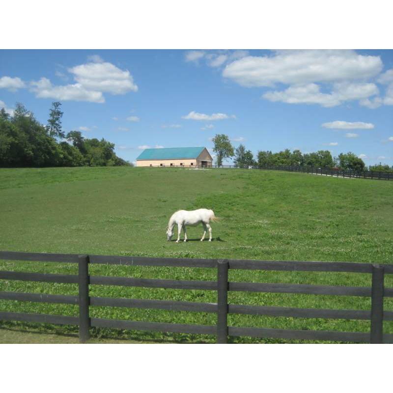 West Wind Stables | 4787 Haley Rd, Lexington, KY 40516, USA | Phone: (859) 539-3008