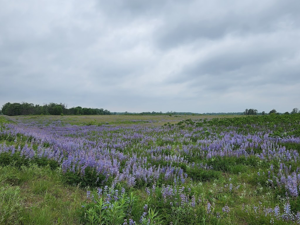 Sherburne National Wildlife Refuge | 17076 293rd Ave NW, Zimmerman, MN 55398, USA | Phone: (763) 389-3323