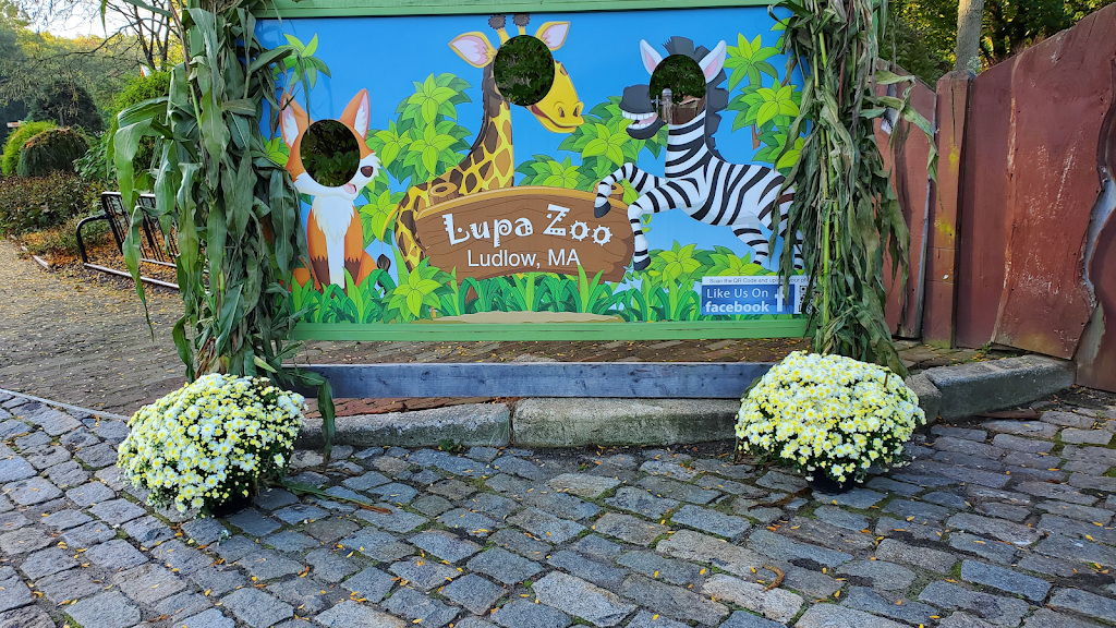 Lupa Zoo | 62 Nash Hill Rd, Ludlow, MA 01056, USA | Phone: (413) 583-8370