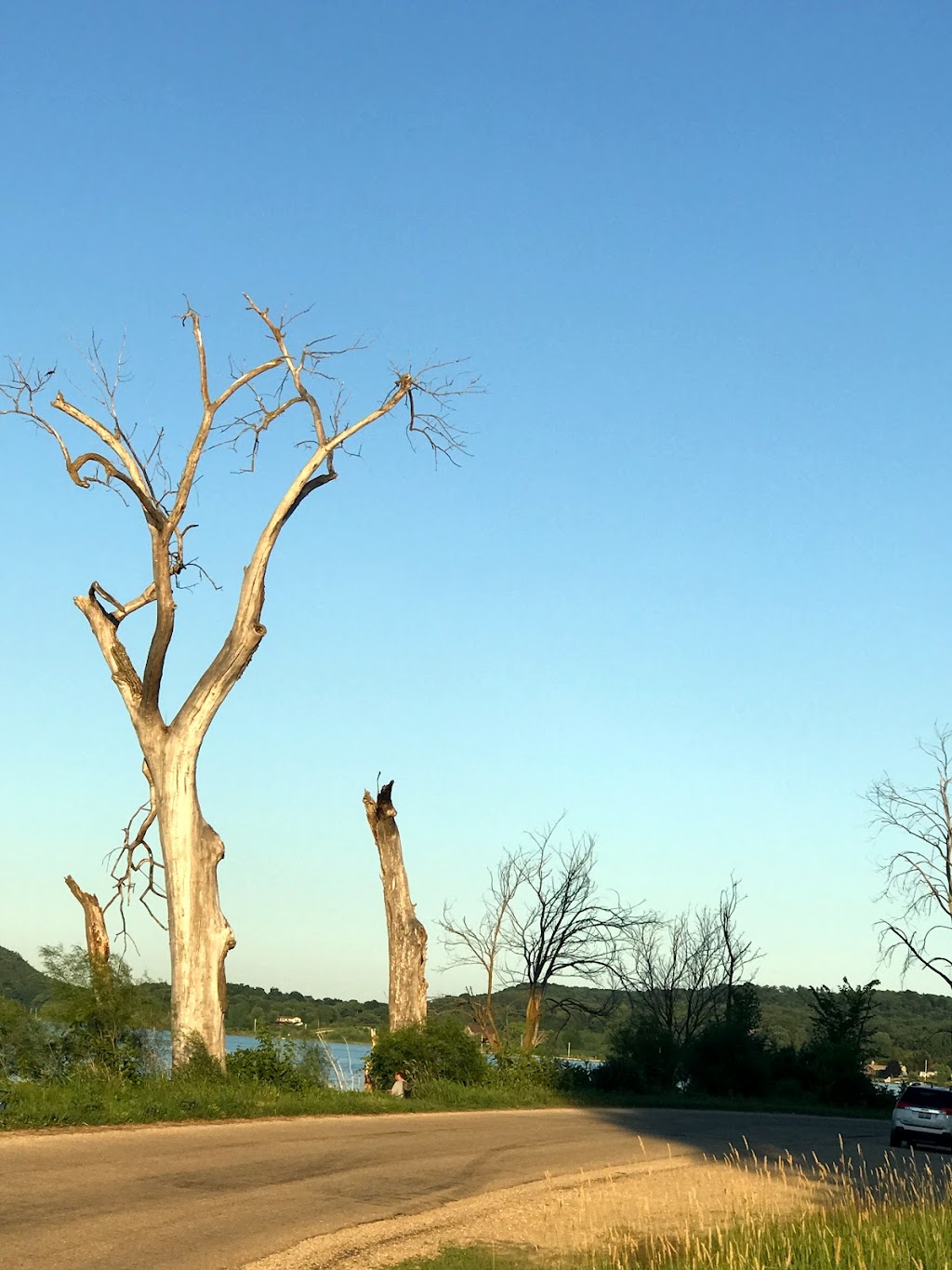 Crystal Lake Wildlife Area | 8269 Crystal Lake Rd, Lodi, WI 53555, USA | Phone: (608) 224-3730