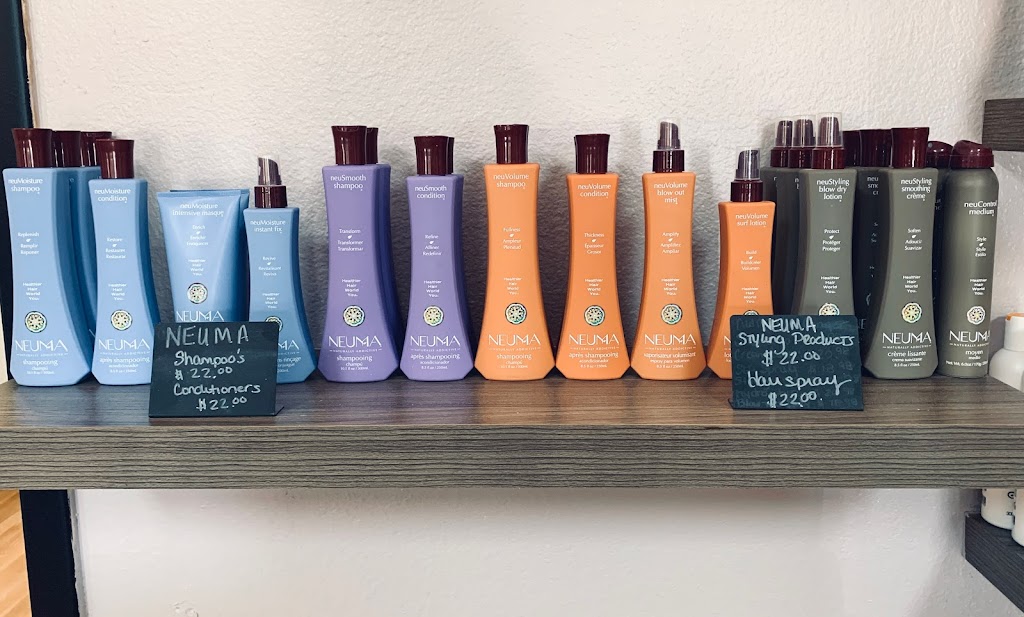 The Hair Studio 41 | 12450 S Tamiami Trl unit g, North Port, FL 34287, USA | Phone: (941) 426-3431