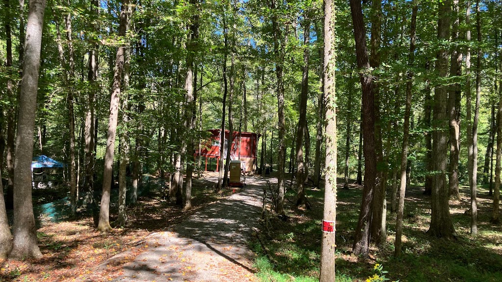 Bear Claw Treehouse | 6621 AL-23, Springville, AL 35146, USA | Phone: (205) 960-8215