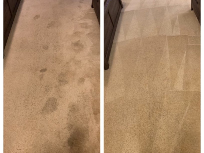 Zo Carpet Cleaning | 7126 W Globe Ave, Phoenix, AZ 85043, USA | Phone: (602) 784-3475