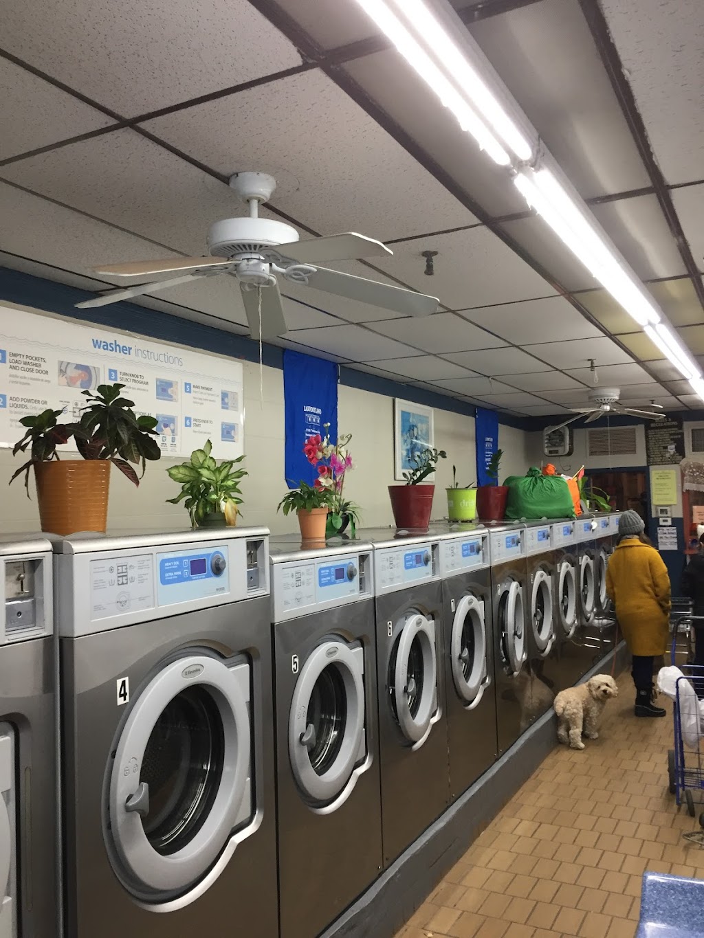 Laundry Land | 1160 Yonkers Ave, Yonkers, NY 10704, USA | Phone: (914) 237-2040