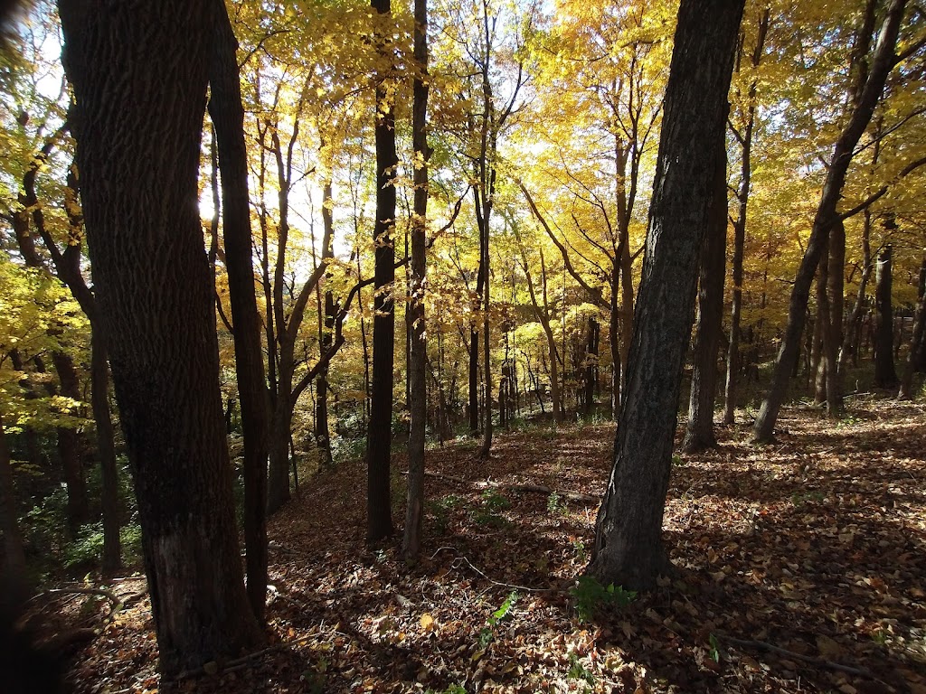 Scenic Overlook, Pere Marquette State Park | Grafton, IL 62037, USA | Phone: (618) 786-2331