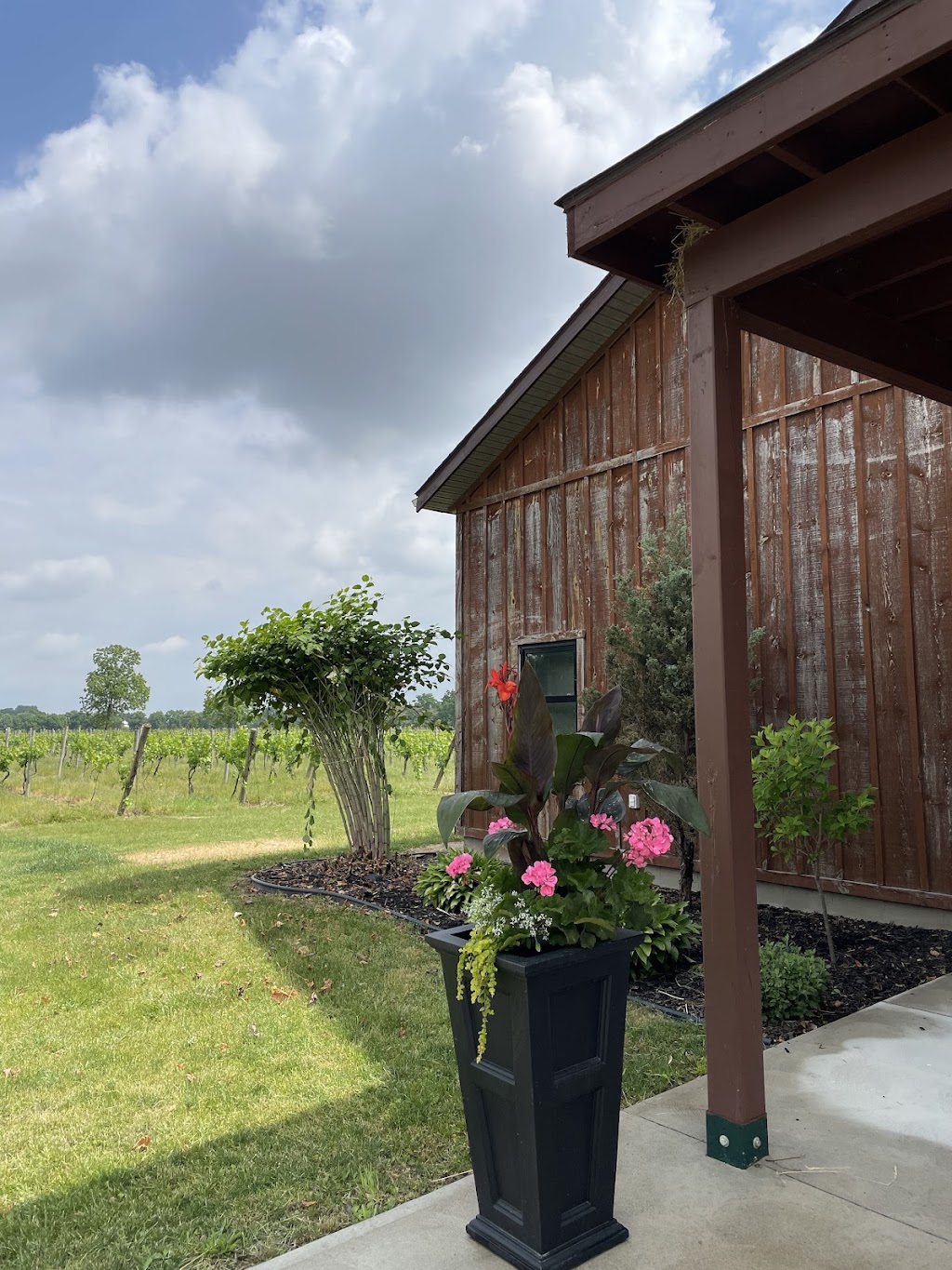 Vivace Estate Winery | 5141 Concession Rd 5 N, Amherstburg, ON N9V 0C8, Canada | Phone: (519) 997-2576