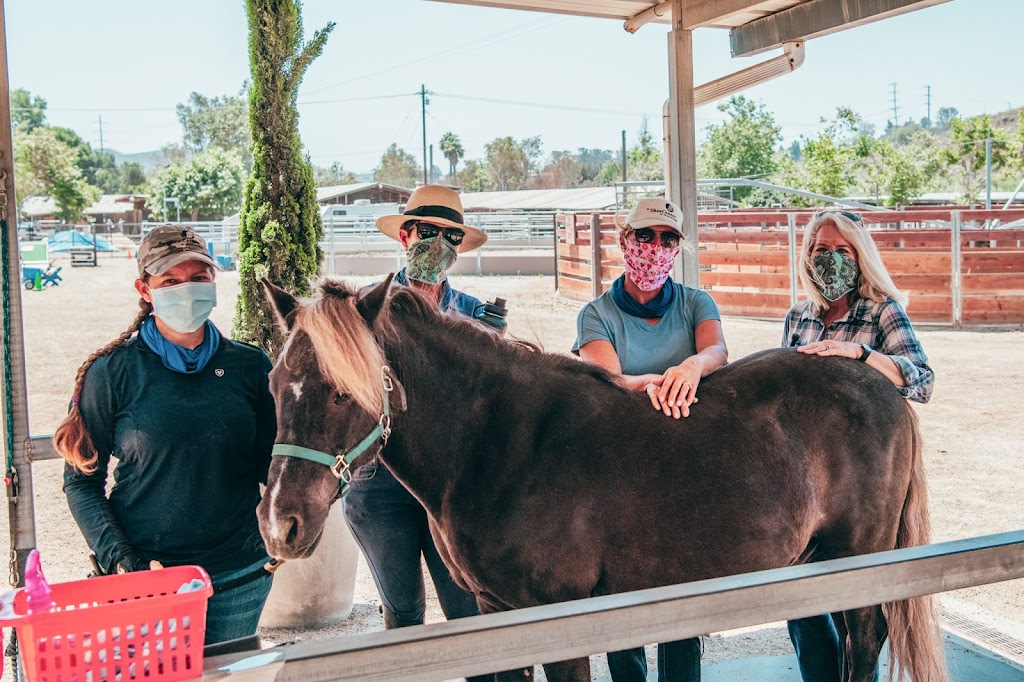 The Shea Center | 26284 Oso Rd, San Juan Capistrano, CA 92675, USA | Phone: (949) 240-8441