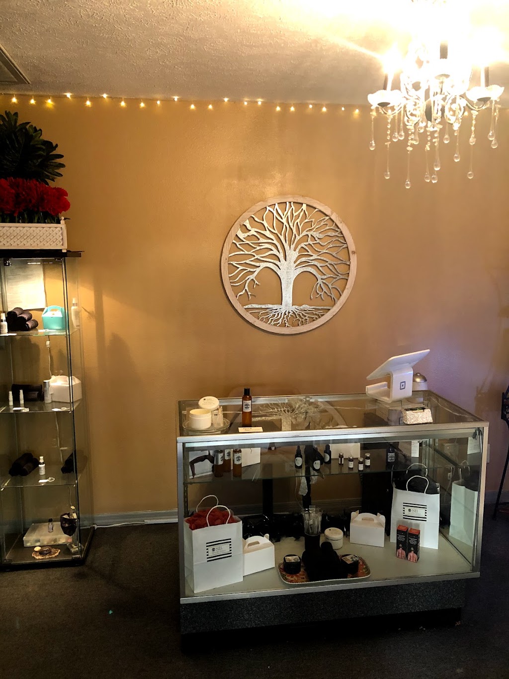 Belizima Aesthetics & Wellness | 7603 Gunn Hwy D, Tampa, FL 33625, USA | Phone: (813) 751-5691