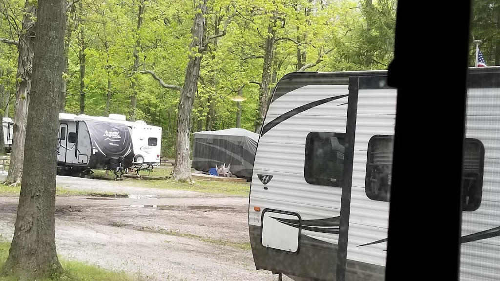 Tree Haven Camp Grounds Inc | 4855 Miller-Paul Rd, Westerville, OH 43082 | Phone: (740) 965-3469