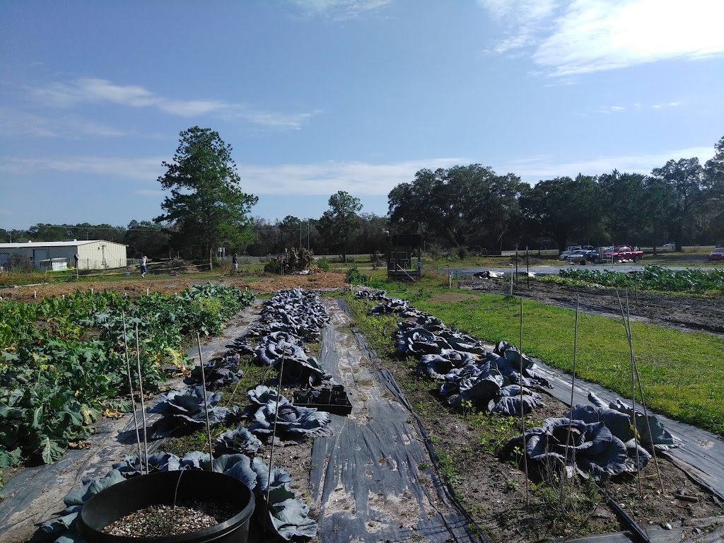 Auro Community Garden | 4095 Broad St, Brooksville, FL 34604, USA | Phone: (352) 238-9091