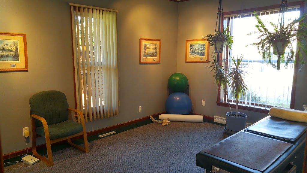 Felicijan Chiropractic Office | 124 2nd St, Pardeeville, WI 53954, USA | Phone: (608) 429-3323