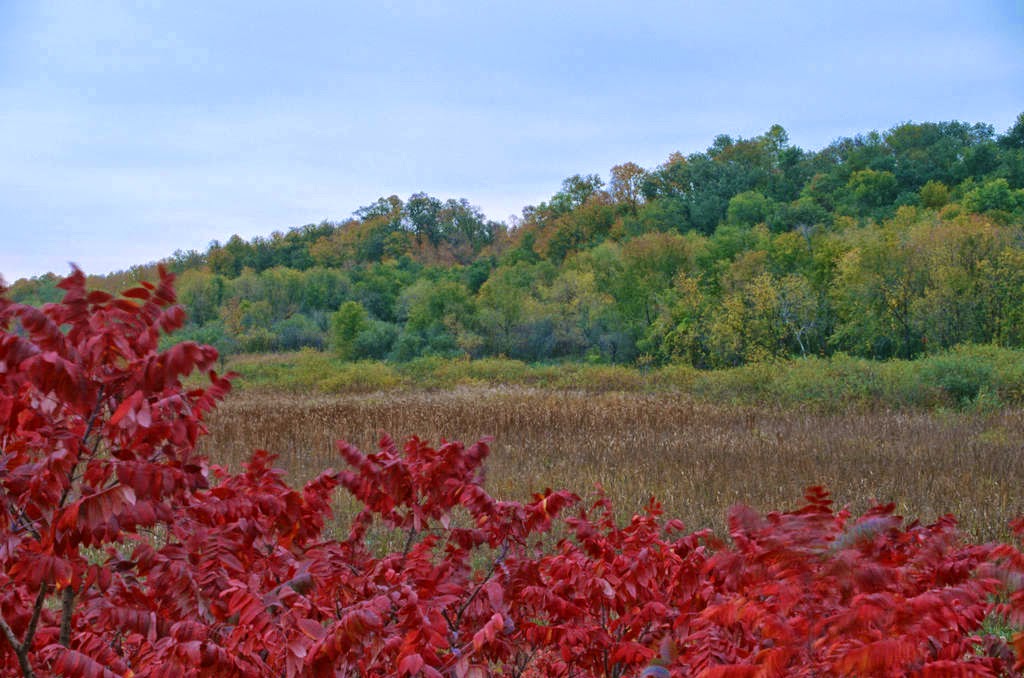 Savage Fen Scientific and Natural Area (SNA) | 128th St, Savage, MN 55378, USA | Phone: (651) 259-5800