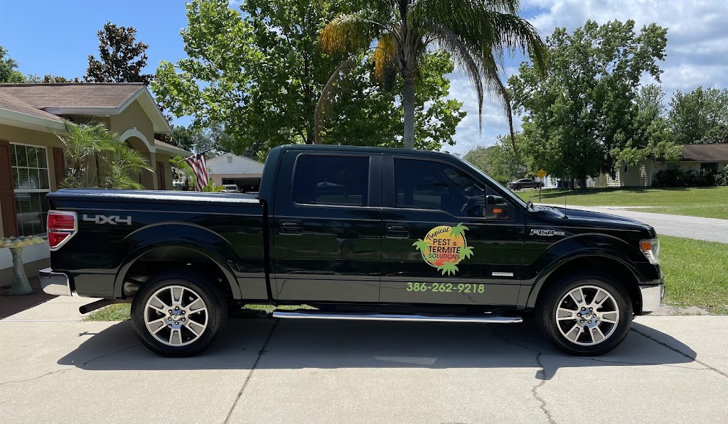 Tropical Pest and Termite Solutions | 2729 Unity Tree Dr, Edgewater, FL 32141, USA | Phone: (386) 262-9218