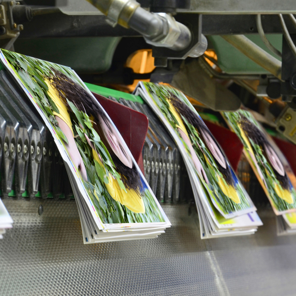 PIP Marketing, Signs, Print | 1074 W Chatham St, Cary, NC 27511, USA | Phone: (919) 481-1235