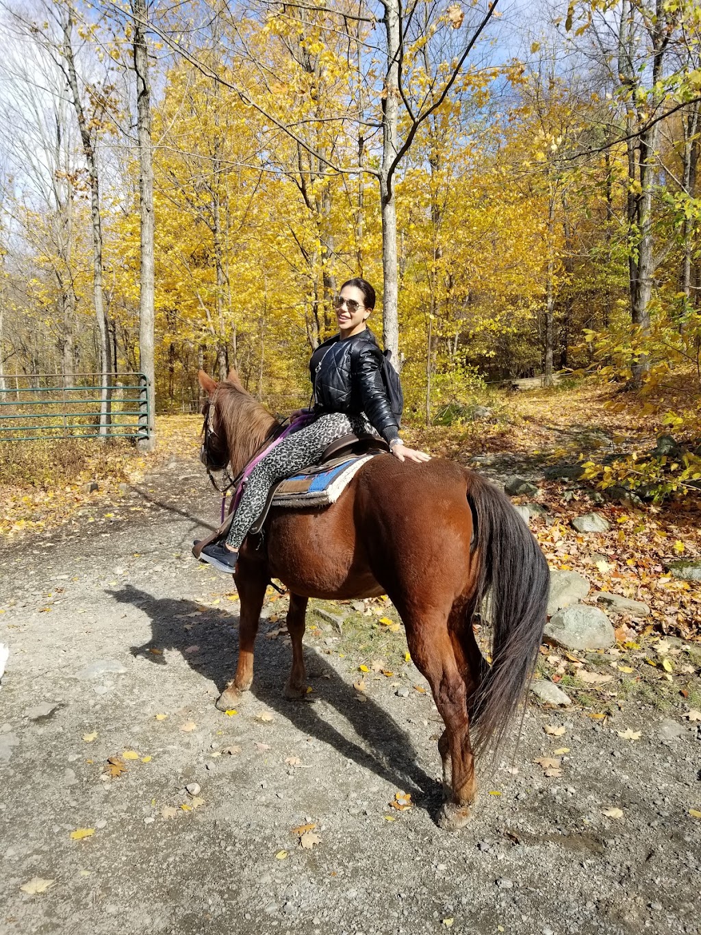 One Trick Pony Rides | 542 Kautz Hollow Rd, Johnsonville, NY 12094, USA | Phone: (518) 663-5542