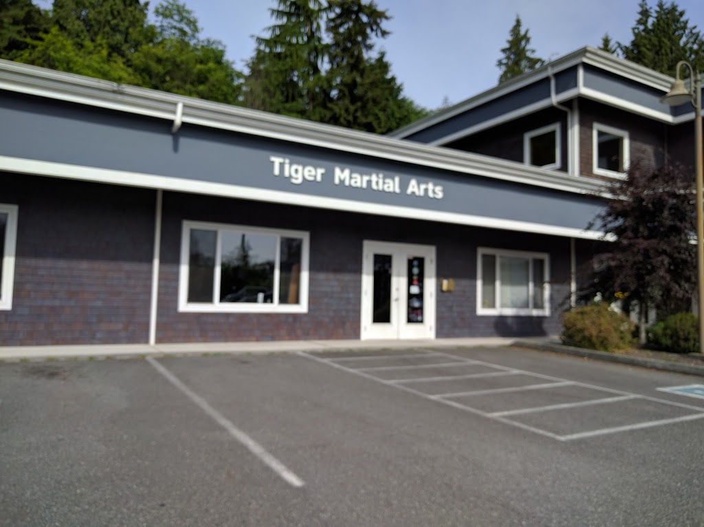 Tiger Martial Arts | 723 Camano Ave, Langley, WA 98260, USA | Phone: (360) 331-5619