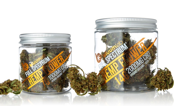 Bluum Lab - Manufacturer and Distributor | 470 Ansin Blvd Suite AA, Hallandale Beach, FL 33009, USA | Phone: (347) 306-0003