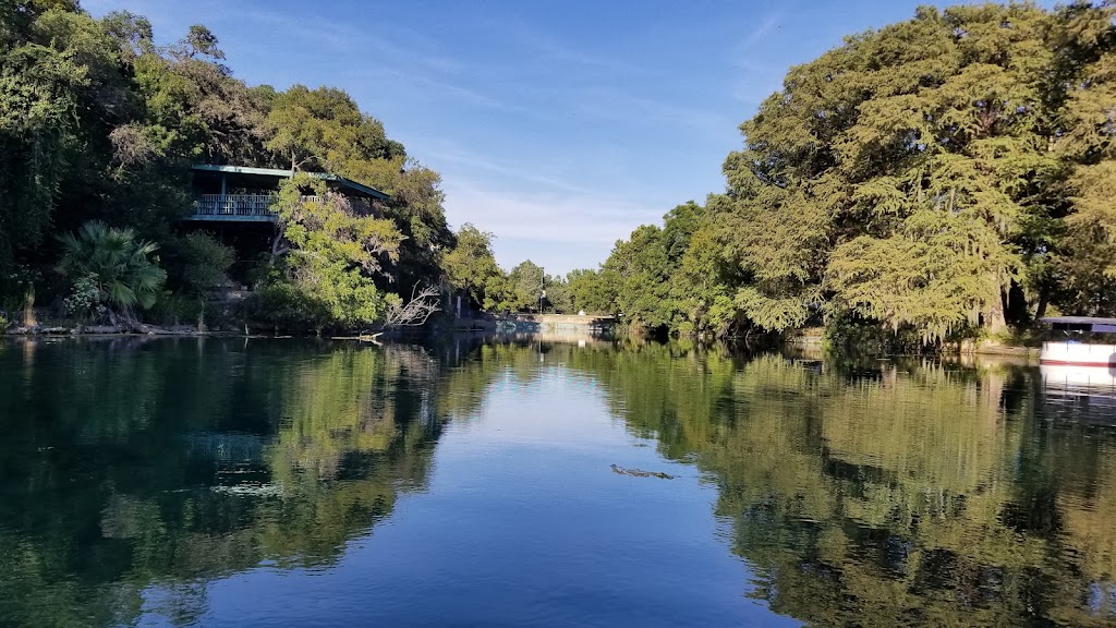 Spring Lake | 201 San Marcos Springs Dr, San Marcos, TX 78666, USA | Phone: (512) 245-7590