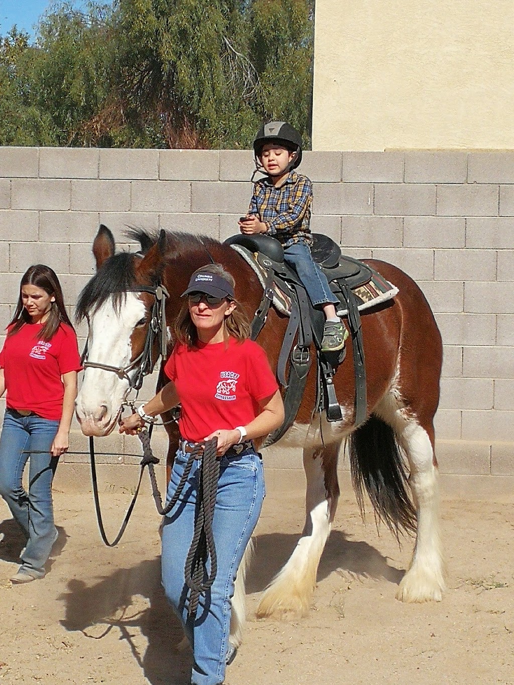 Clydesdale Preservation Trust | 17208 E Saragosa St, Gilbert, AZ 85295, USA | Phone: (602) 803-4051