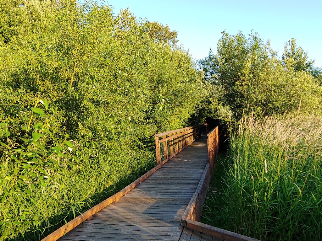 Wetlands Boardwalk Trailhead | NW, 413 Western St, Auburn, WA 98001, USA | Phone: (253) 931-3090