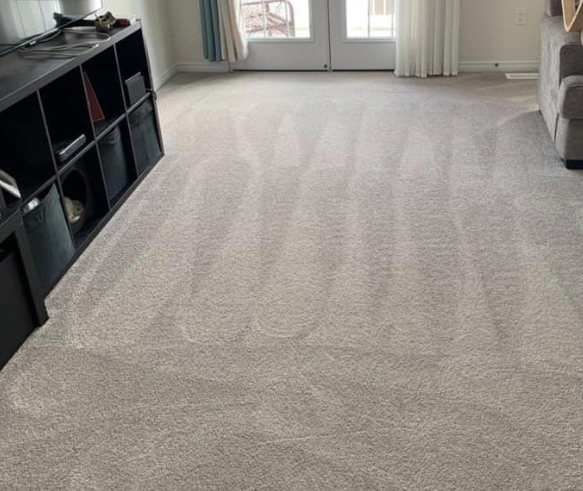 PMT Carpet Cleaning | 7640 Hackberry Trl, Niagara Falls, ON L2H 3R5, Canada | Phone: (204) 801-8560