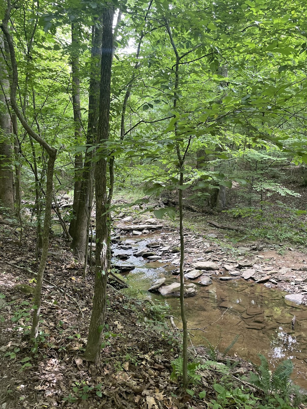 Johnson Ferry | 4630 Columns Dr SE, Marietta, GA 30067, USA | Phone: (678) 538-1200