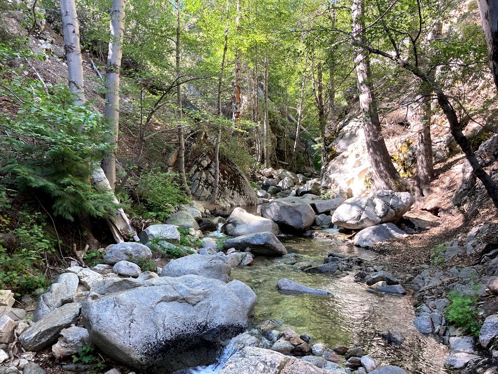 Burkhart Trail to Cooper Canyon Falls | Burkhart Trail, Pearblossom, CA 93553, USA | Phone: (626) 574-1613
