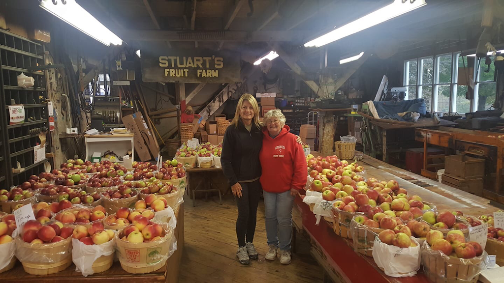 Stuarts Farm | 62 Granite Springs Rd, Granite Springs, NY 10527, USA | Phone: (914) 245-2784