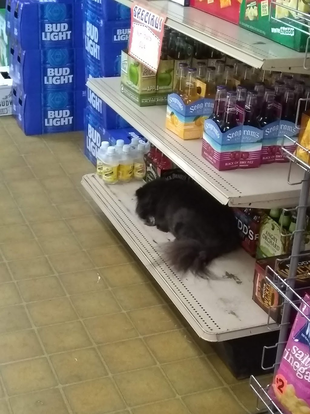 Friendsville Discount Liquors | 277 Maple St, Friendsville, MD 21531, USA | Phone: (301) 746-5639