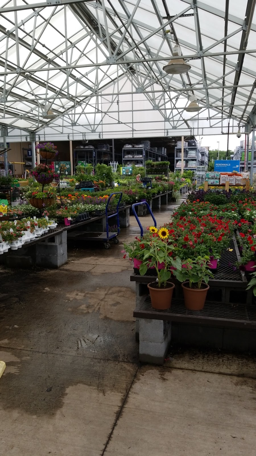 Lowes Garden Center | 2044 Cumming Hwy, Canton, GA 30114, USA | Phone: (770) 721-7440