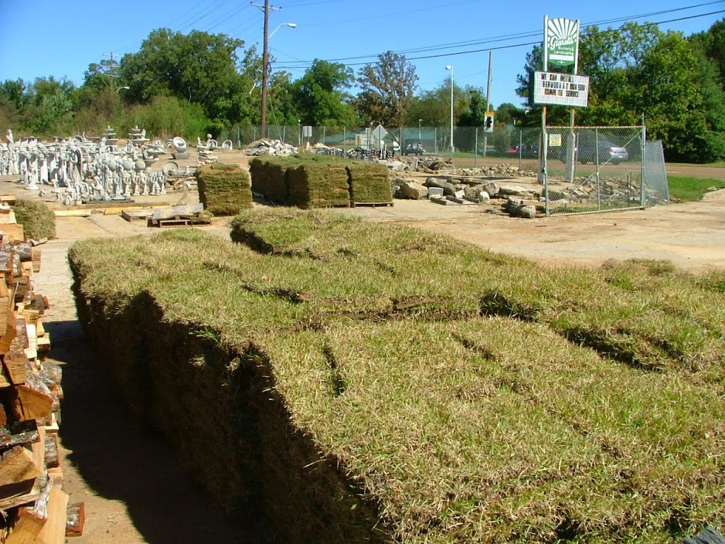 Giarolis Nursery & Landscaping | 6000 Summer Ave, Memphis, TN 38134, USA | Phone: (901) 382-5402