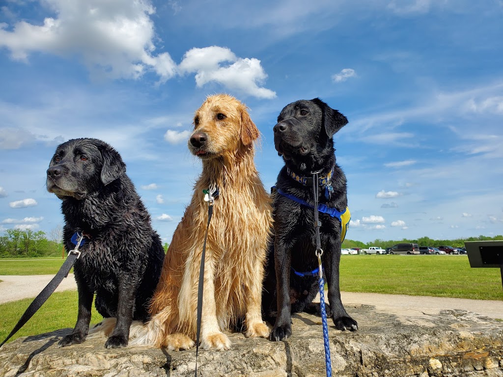 Prairie Oaks Dog Beach | 2755 Amity Rd, Hilliard, OH 43026, USA | Phone: (614) 208-4321