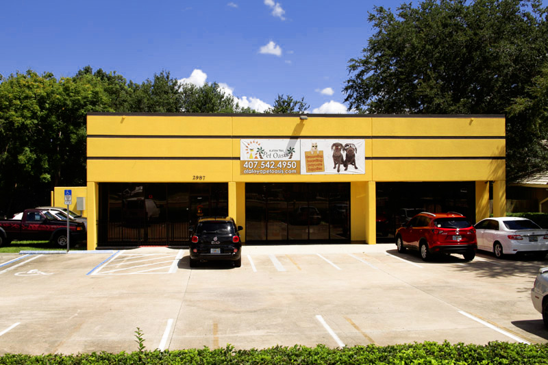 Ds3 Auto Source Llc | 10011 Harmon Rd Ste 121, Fort Worth, TX 76177, USA | Phone: (972) 351-1266