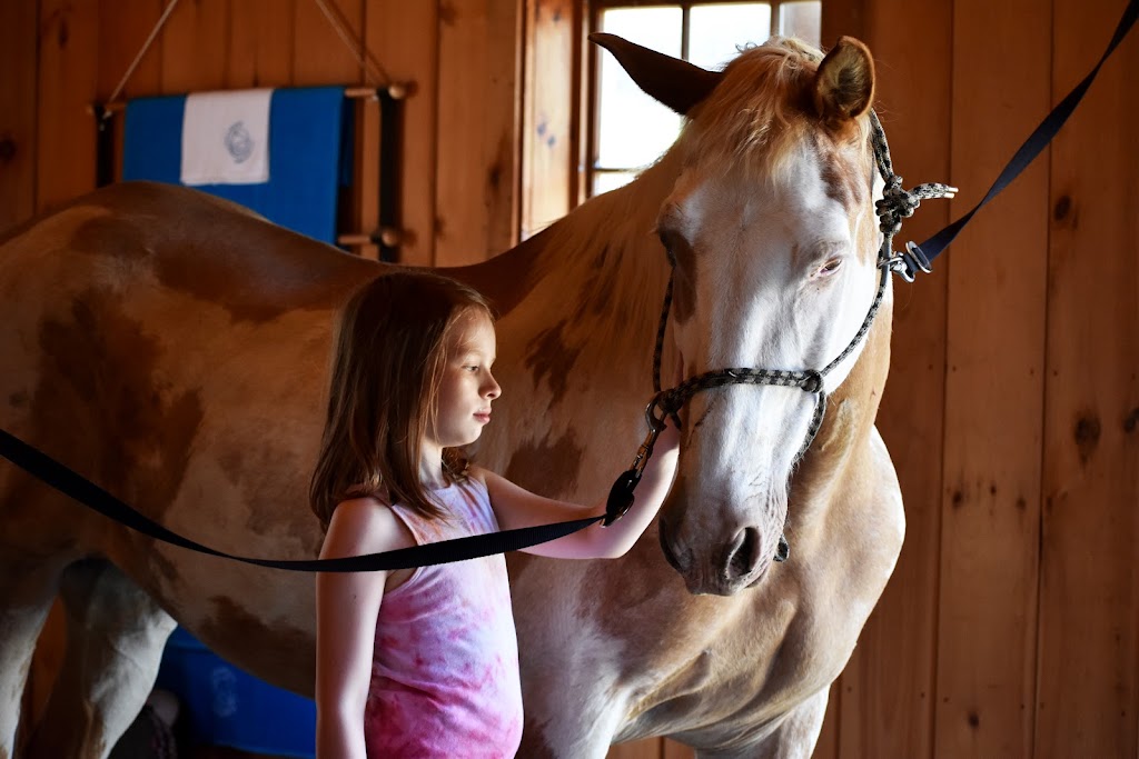 Albany Therapeutic Riding Center | 6640 Fuller Station Rd, Altamont, NY 12009, USA | Phone: (518) 898-0742