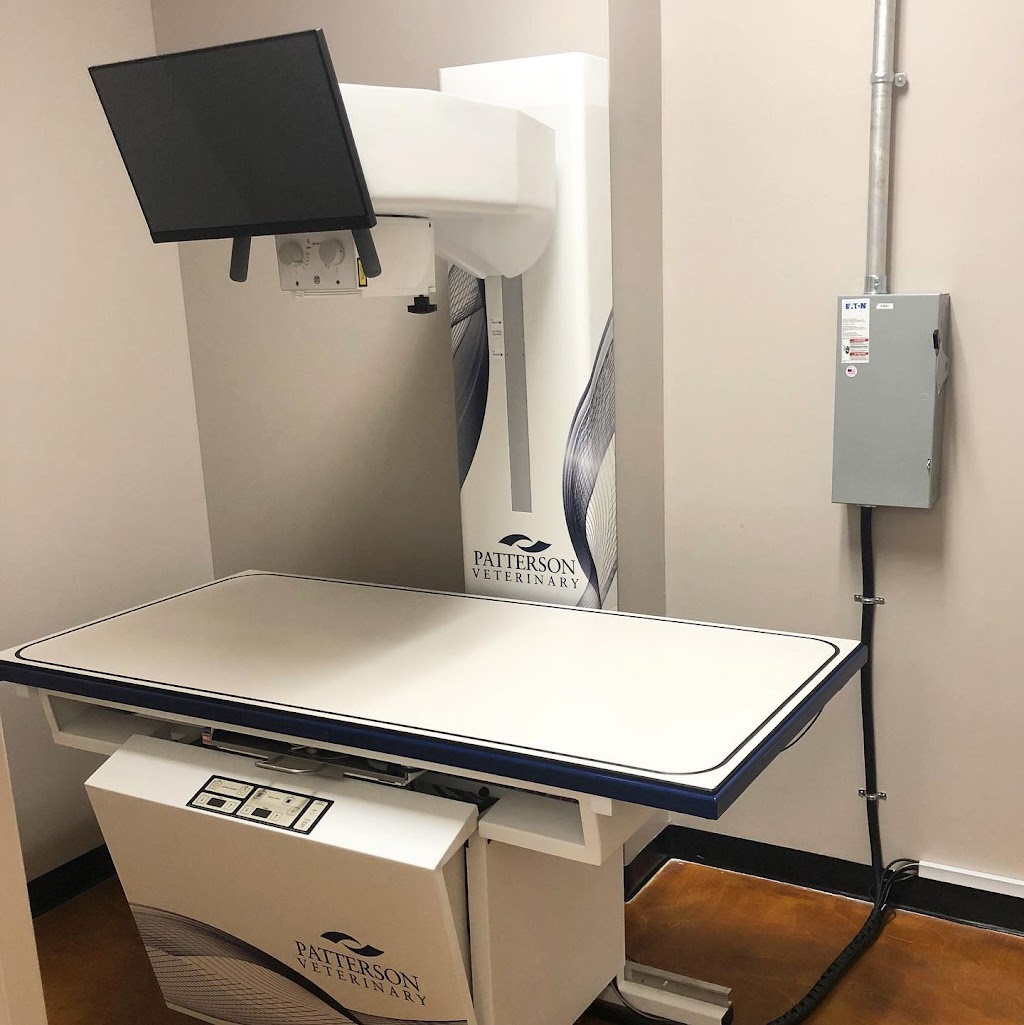 Good Dog Veterinary Care | 3894 Due W Rd NW Suite 250, Marietta, GA 30064, USA | Phone: (770) 450-4555