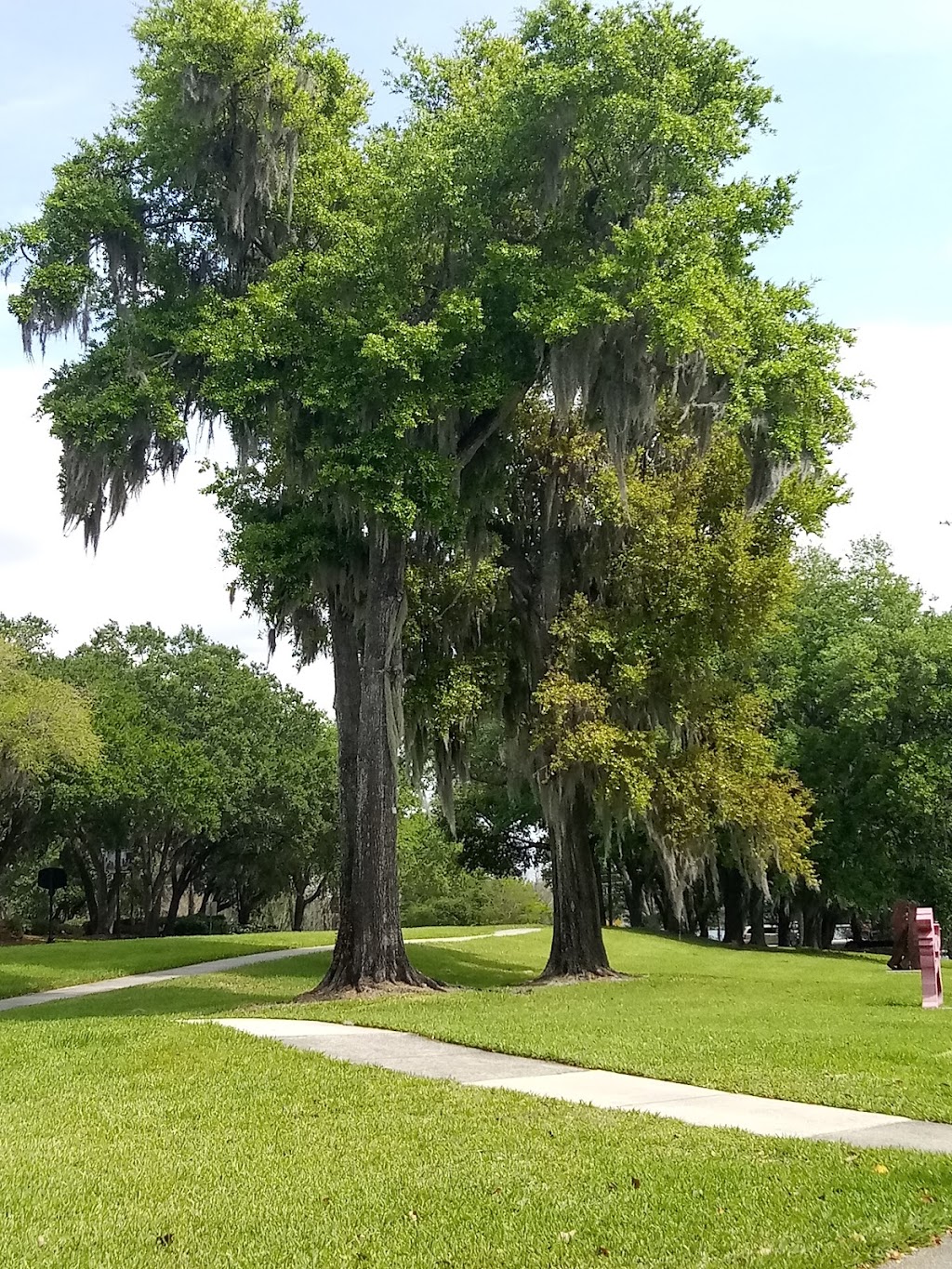 Mayor Tree Wedding Ceremony Site | 900 E Princeton St, Orlando, FL 32803, USA | Phone: (407) 246-2283