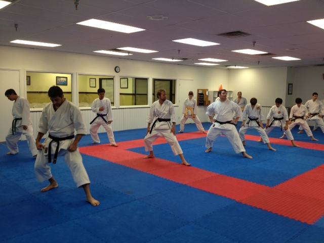 Japanese Karate-Do Shotokan | 11910 Montgomery Rd, Cincinnati, OH 45249, USA | Phone: (513) 697-8988