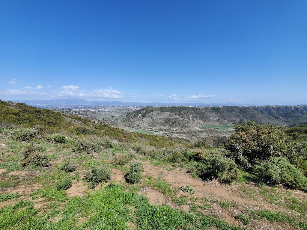 Aliso and Wood Canyons Wilderness Park | 28373 Alicia Pkwy, Aliso Viejo, CA 92656, USA | Phone: (949) 923-2200