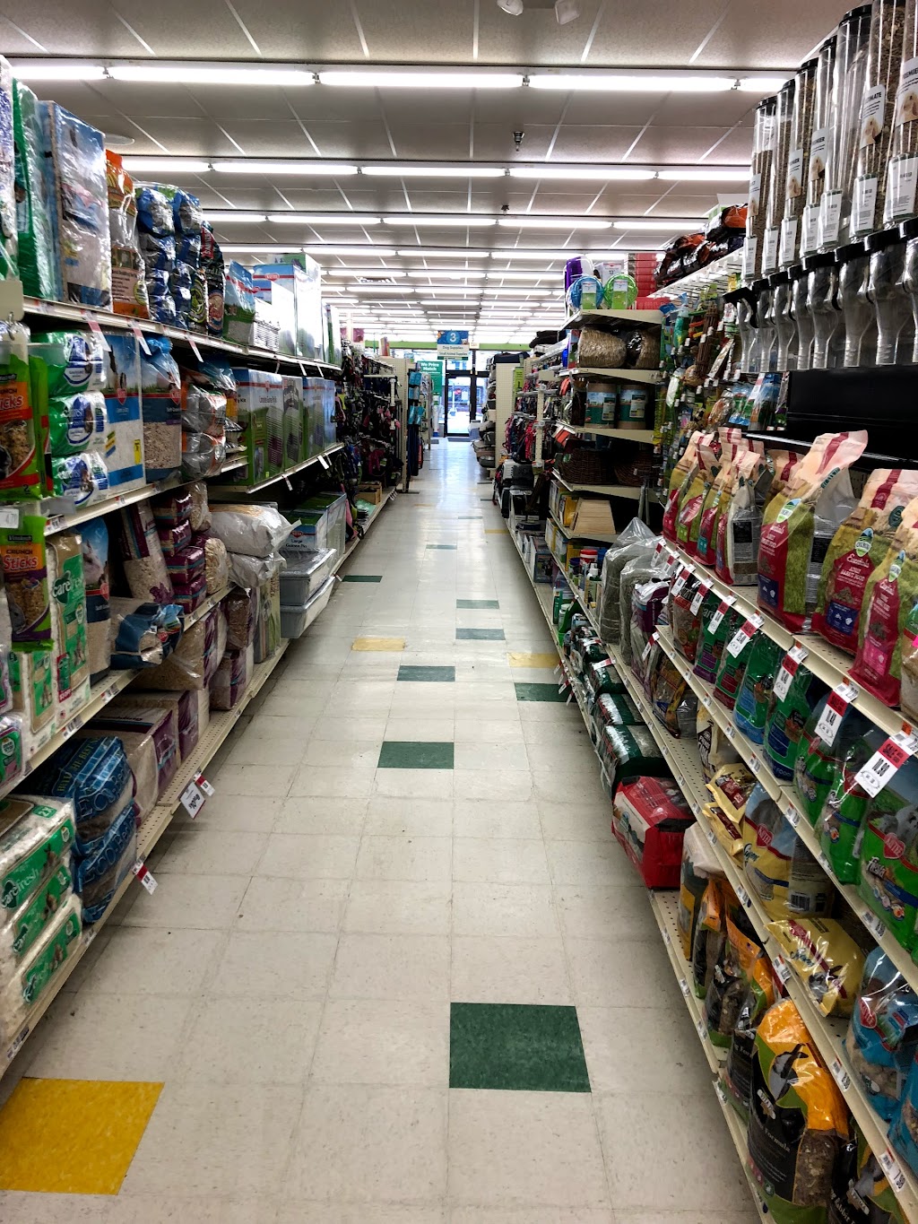 Pet Supplies Plus Albany | 1225 Western Ave Suite 6, Albany, NY 12203, USA | Phone: (518) 438-1040