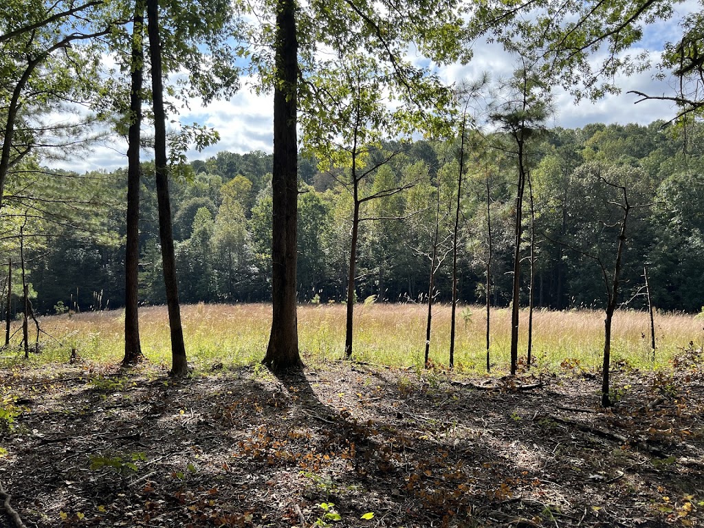 Picketts Mill Battlefield State Historic Site | 4432 Mt Tabor Church Rd, Dallas, GA 30157, USA | Phone: (770) 443-7850