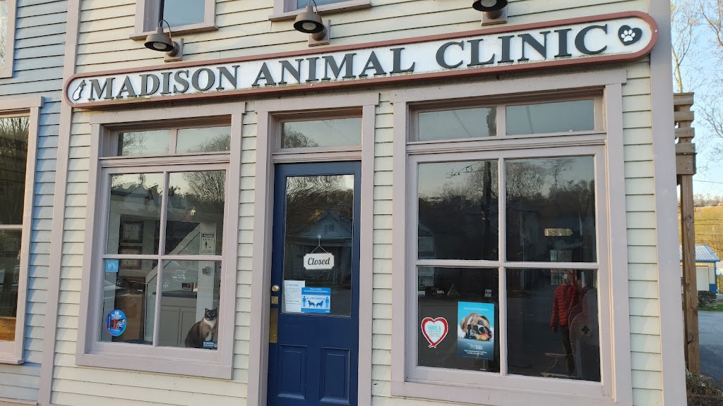 Madison Animal Clinic | 825 W Main St, Madison, IN 47250, USA | Phone: (812) 265-6300