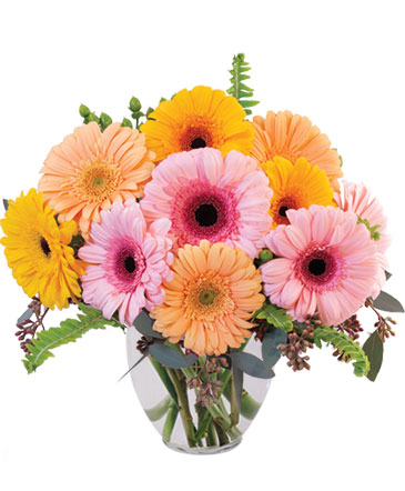 Abloom Floral & Gifts | 1334 Hawthorne Ave, Crete, NE 68333, USA | Phone: (402) 826-2294